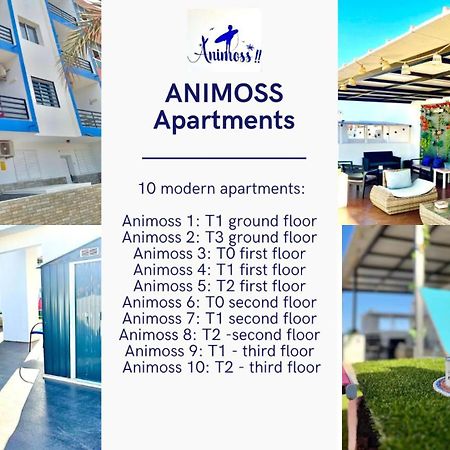 Animos! Apartments - 10 Modern Apartments Near The City & Beach, Perfect For Nomads, Travellers, Families, Watersports! サンタ・マリア エクステリア 写真