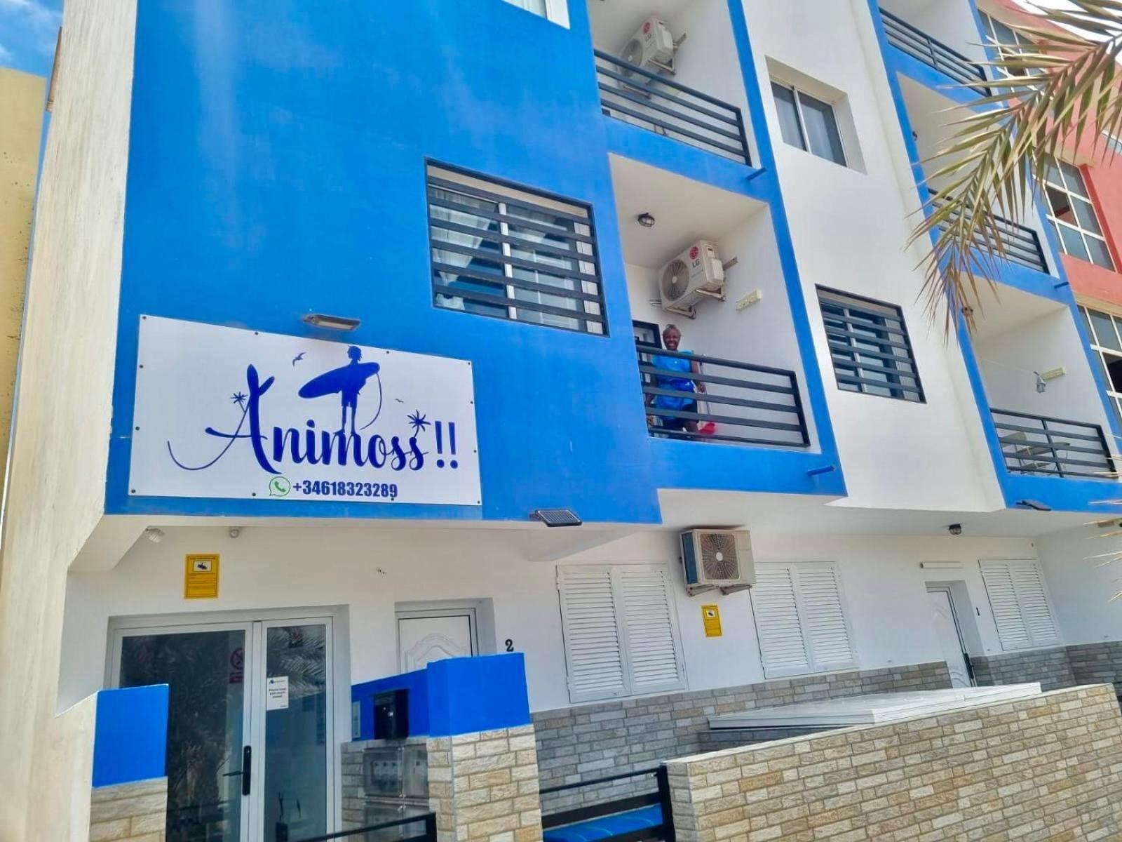 Animos! Apartments - 10 Modern Apartments Near The City & Beach, Perfect For Nomads, Travellers, Families, Watersports! サンタ・マリア エクステリア 写真
