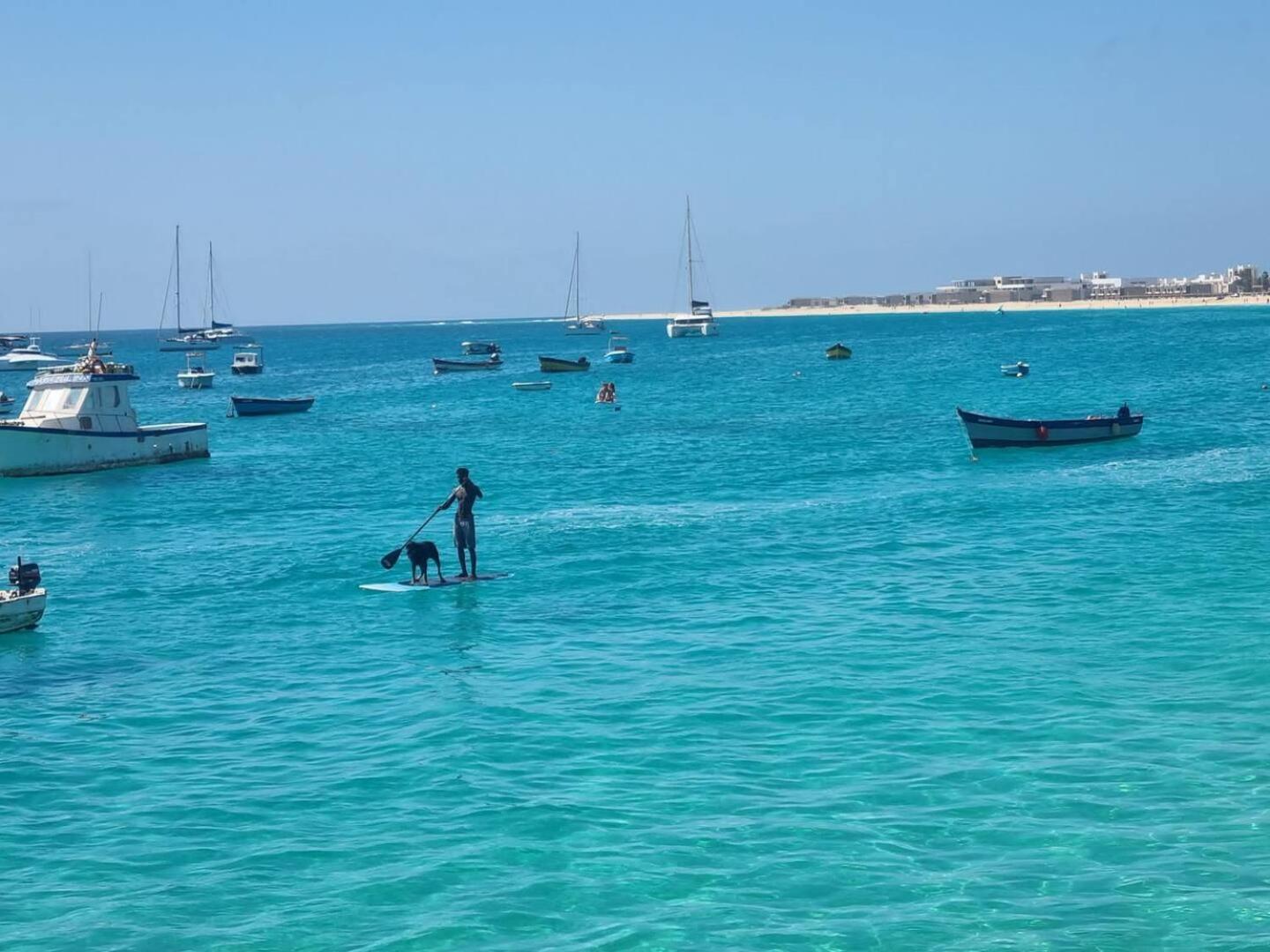 Animos! Apartments - 10 Modern Apartments Near The City & Beach, Perfect For Nomads, Travellers, Families, Watersports! サンタ・マリア エクステリア 写真