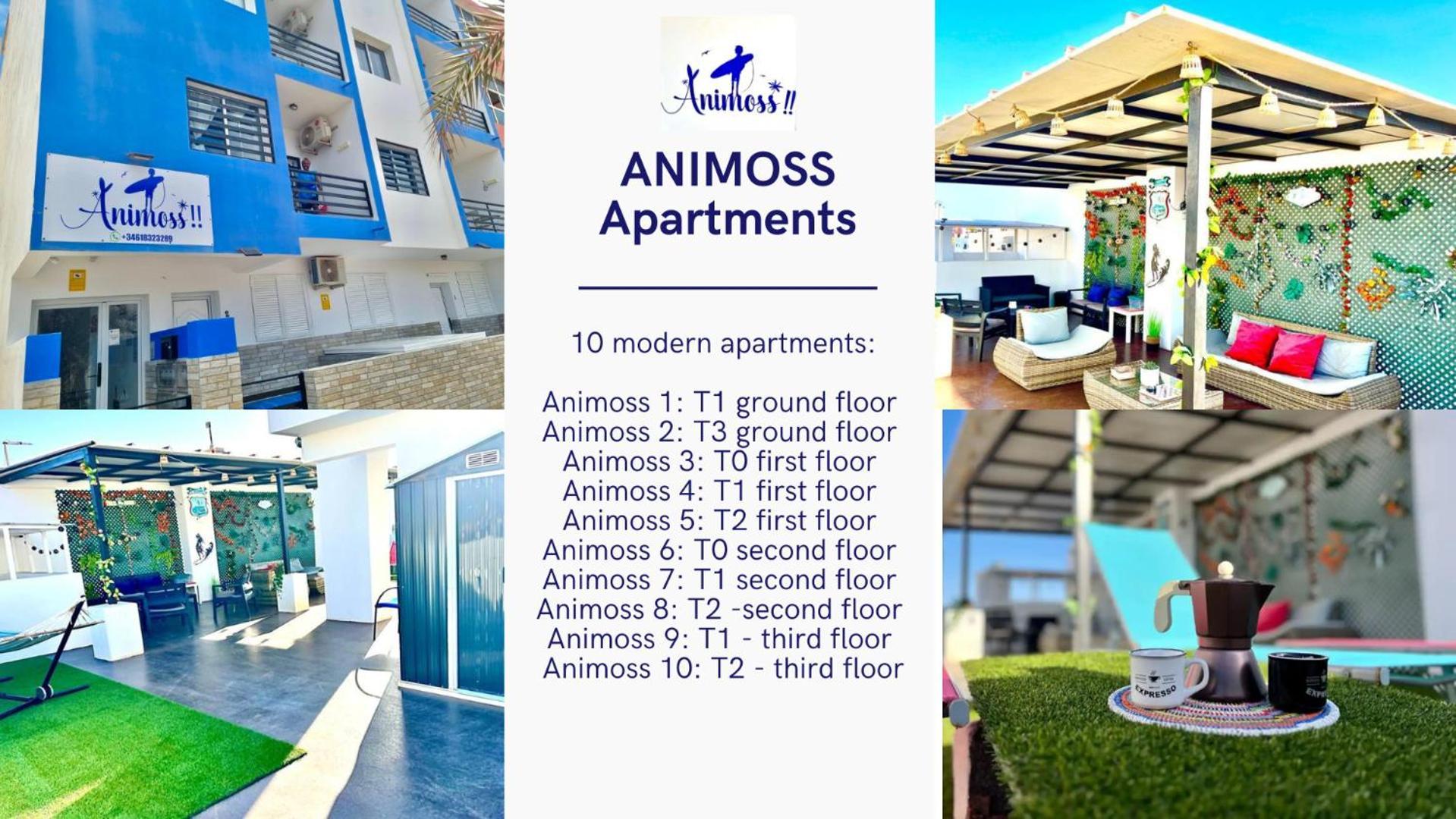 Animos! Apartments - 10 Modern Apartments Near The City & Beach, Perfect For Nomads, Travellers, Families, Watersports! サンタ・マリア エクステリア 写真